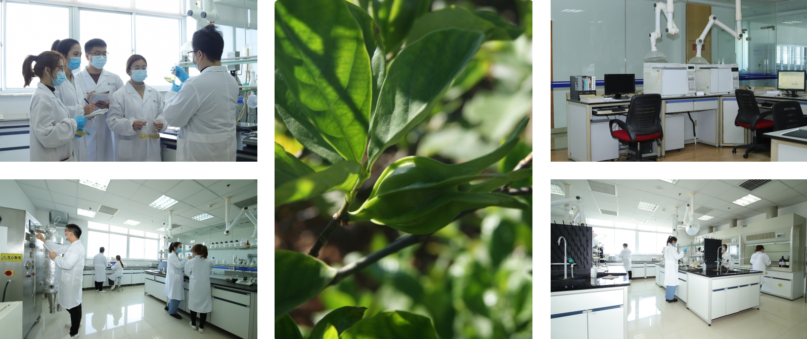 R&D - 厦门中天生物科技有限责任公司.jpg